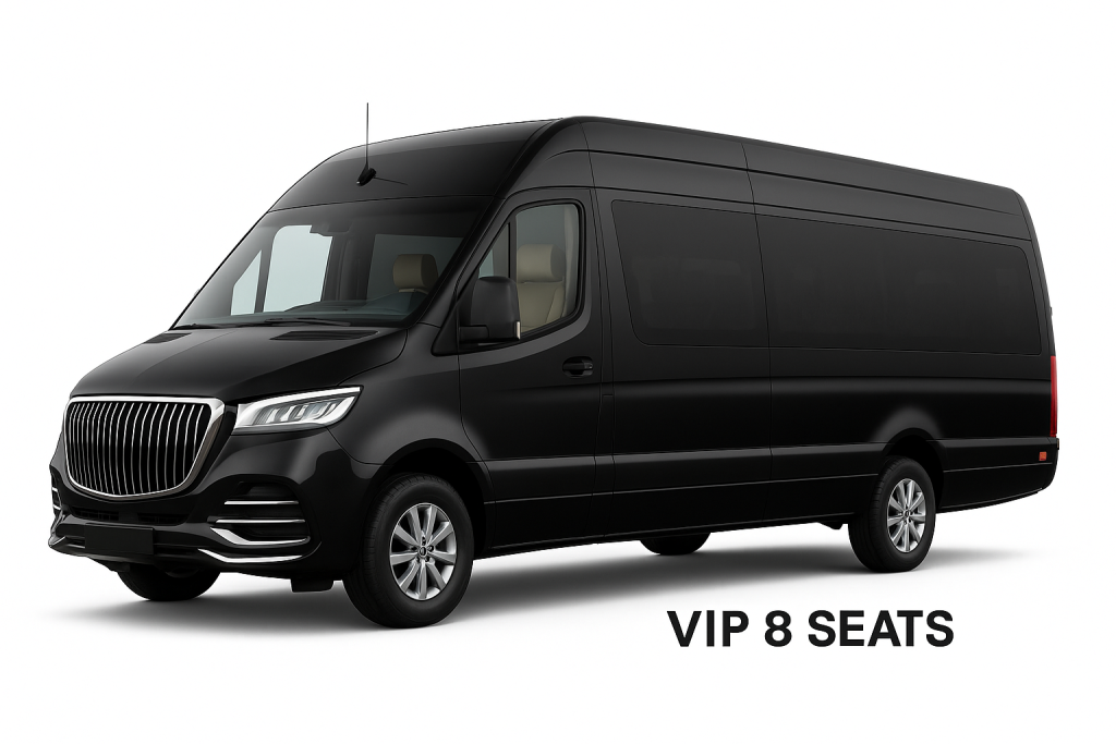 VIP Sprinter Mercedes