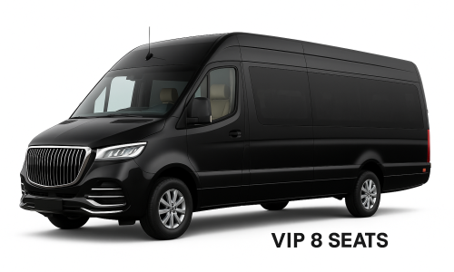 VIP Sprinter Mercedes